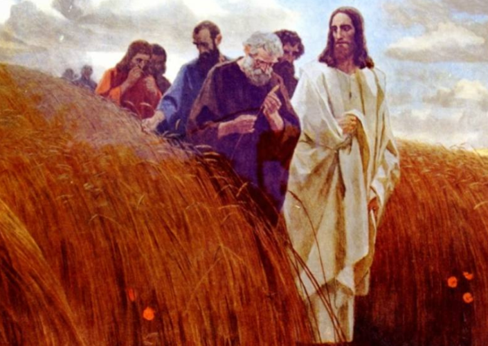 Jesús con sus discípulos se alimentan en sábado